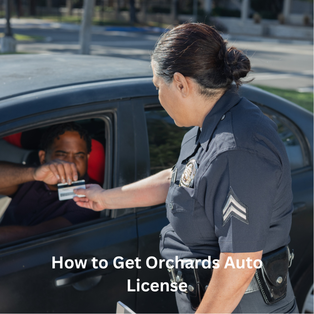 How to Get Orchards Auto License