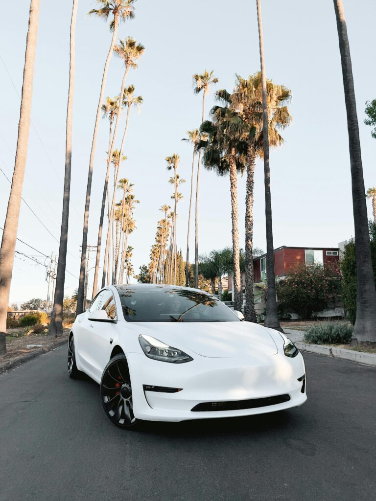 Tesla Model Y continues to lead global EV sales in March